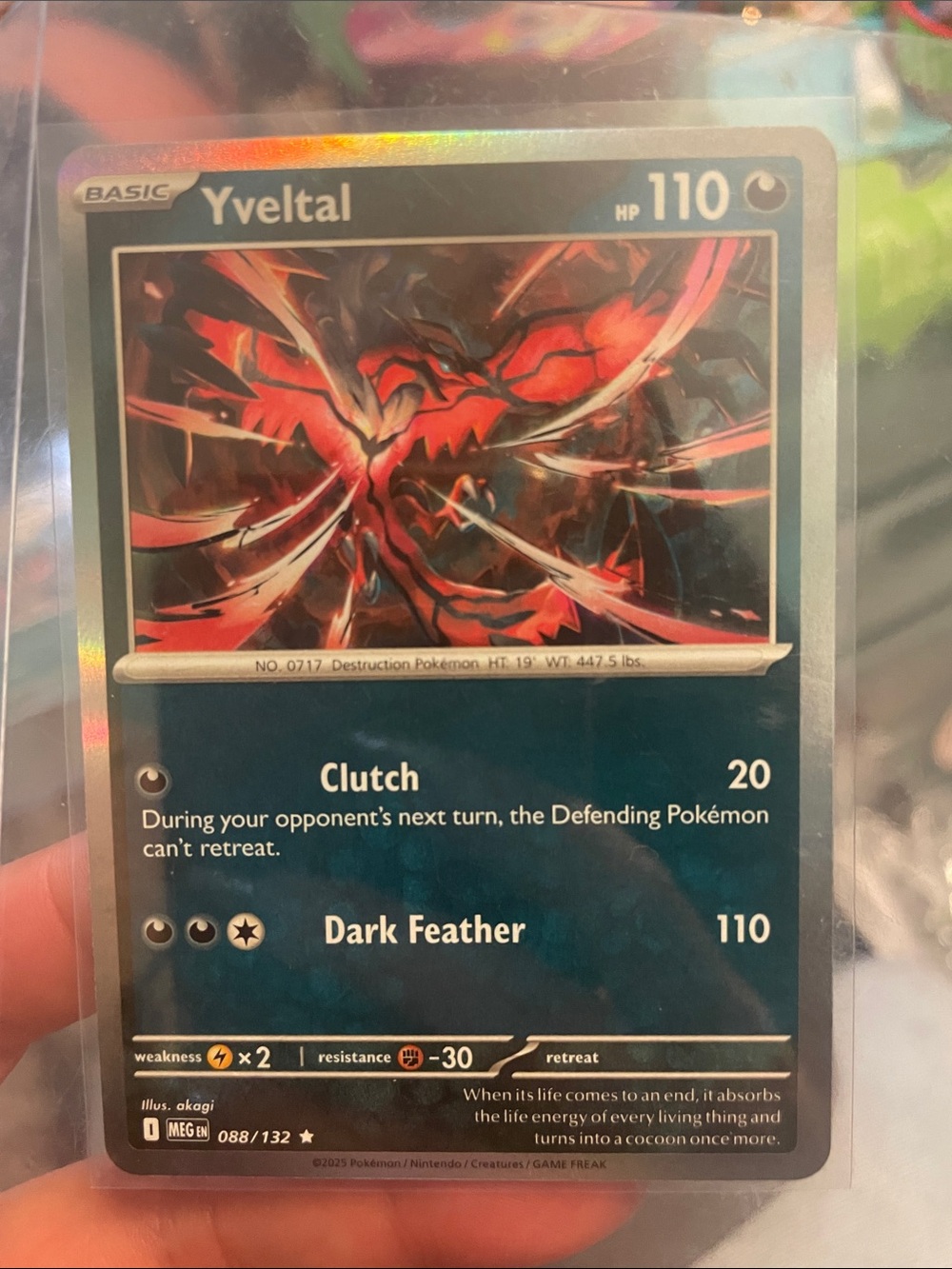Pokemon Yveltal Holo Card - Black, Red